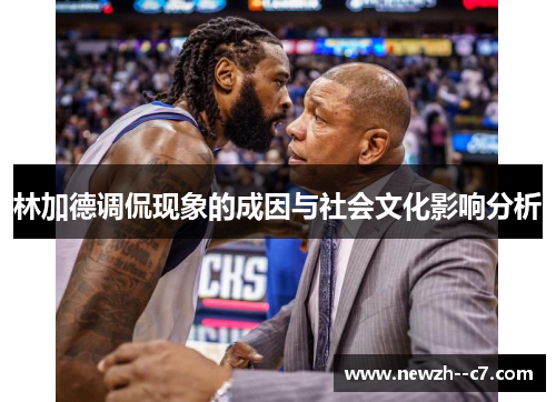林加德调侃现象的成因与社会文化影响分析