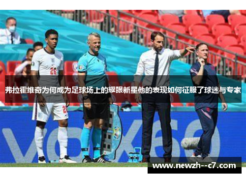 弗拉霍维奇为何成为足球场上的耀眼新星他的表现如何征服了球迷与专家 弗拉霍维奇为何成为足球场上的耀眼新星他的表现如何征服了球迷与专家