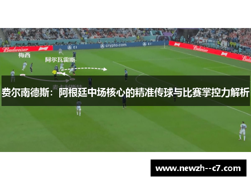 费尔南德斯：阿根廷中场核心的精准传球与比赛掌控力解析